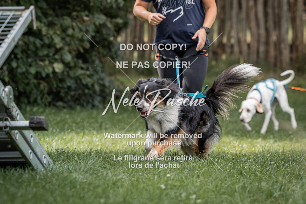 nelerasche_SoLauf_171 | nelerasche