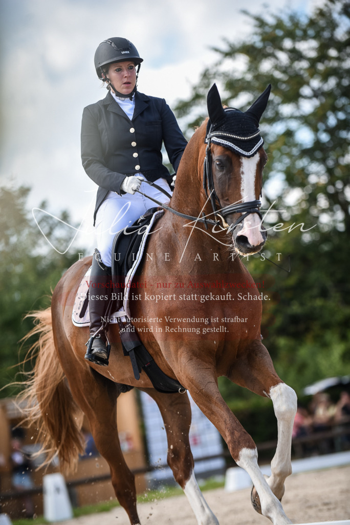 DSC_9347 | Pferde- und Turnierfotografie in Westsachsen. Pferdeportraits, Auftragszeichnungen und intuitive Kunst.