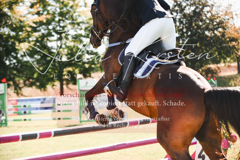 DSC_2401 | Pferde- und Turnierfotografie in Westsachsen. Pferdeportraits, Auftragszeichnungen und intuitive Kunst.