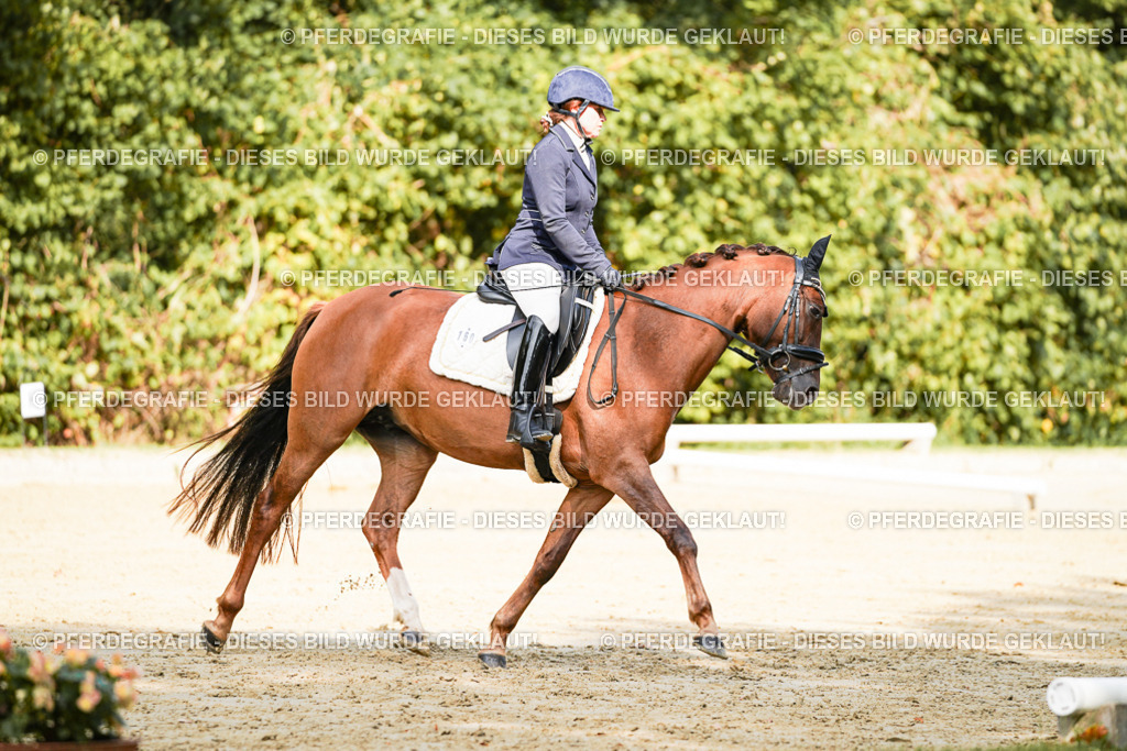 DSC02289 | Pferdegrafie