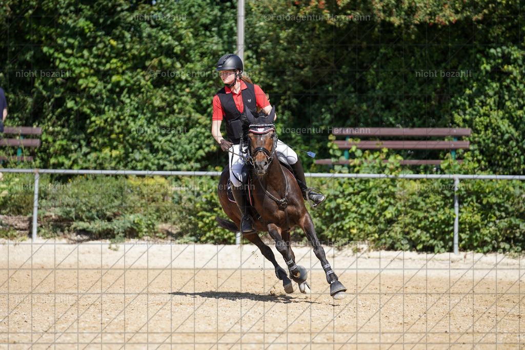 20240824-FAH08196 | Thierhaupten 2024, Bayerisches Landesponyturnier, Turnierbilder, Ponybilder, Turnierfotografen Bayern, Fotoagentur Herrmann