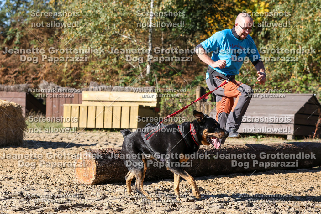 Dog Paparazzi - Strongdog 10-25-2308 | Dog Paparazzi Jeanette Grottendiek Fotografie & Videografie - Realisiert mit Pictrs.com