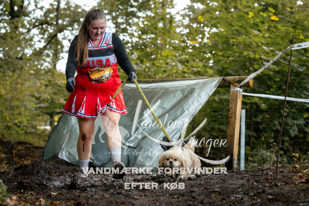 1432DZ6_2916Z6 | kk-dogfotos