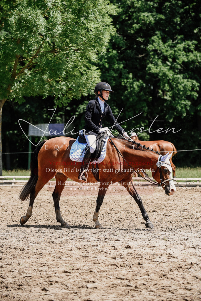 DSC_1969 | Pferde- und Turnierfotografie in Westsachsen. Pferdeportraits, Auftragszeichnungen und intuitive Kunst.