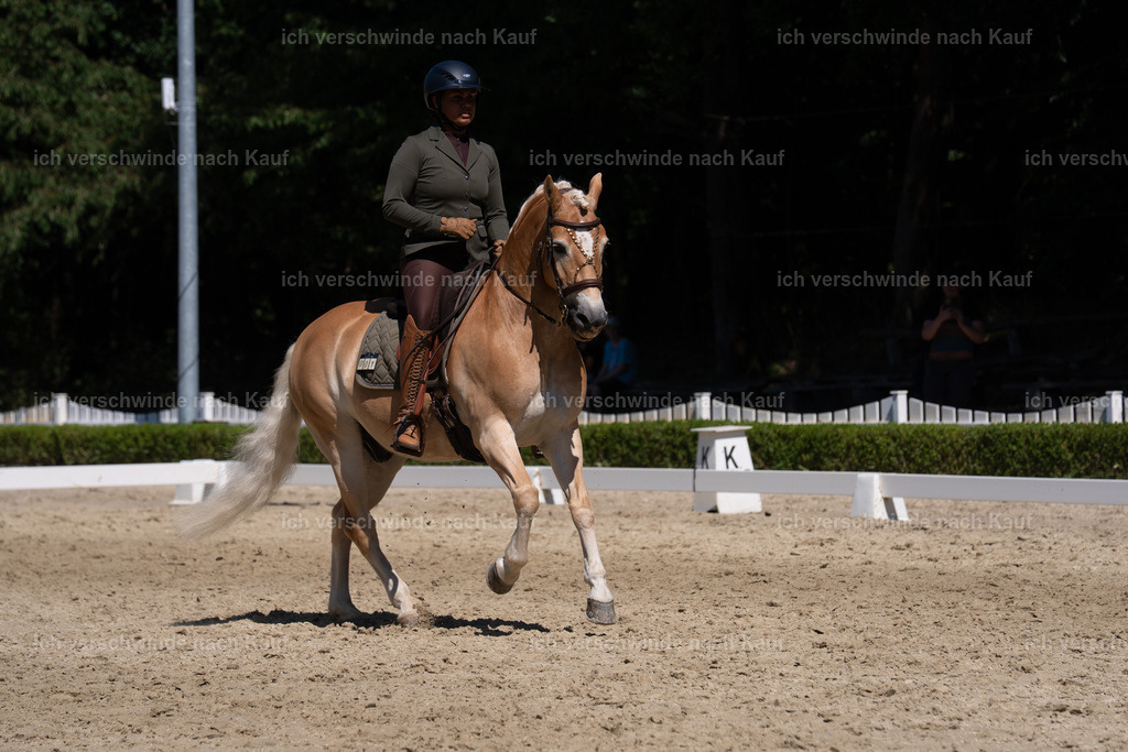 WS_DR_1_sinafilmart_IN03396 | working equitationturnier fotograf videograf stoibphotography marixx film working equitation deutschland reitsport turnierfotografie eventfotografie equestrian events