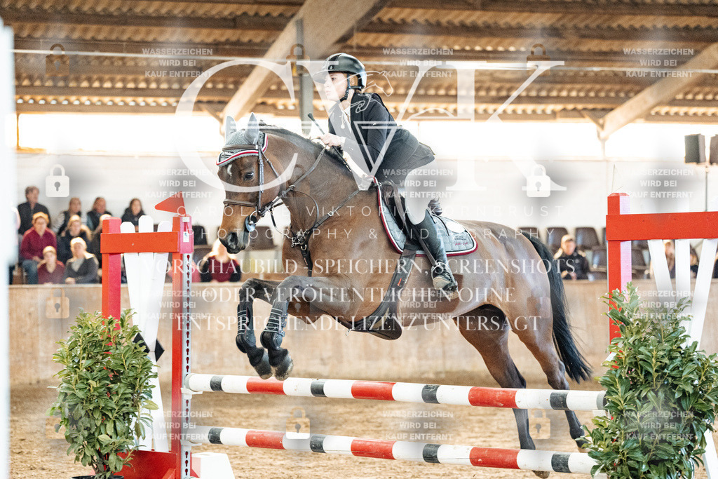 CK904400 | Turnierfotografie Pferdefotografie Trier Rheinland-Pfalz Pferdesport Reitsport Tierfotografie Sportfotografie Pferdevideo Pferdevideografie Equestrianvideography equestrianphotography  - Realisiert mit Pictrs.com