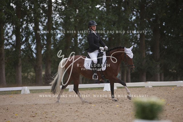 1J2A0974Charlotte Fehr_ Ikon 16_ Kn061_ Wöpkendorf_ Annalena Beier_ Quinn M_ Kn095 | Foto- und Videografie für alles rund ums Pferd. Hochwertige Bilder und Videos vom Spring- und Dressurreiten, Voltigieren & mehr. Jetzt aktuelle Veranstaltungen und Preise im Shop ansehen. - Realisiert mit Pictrs.com