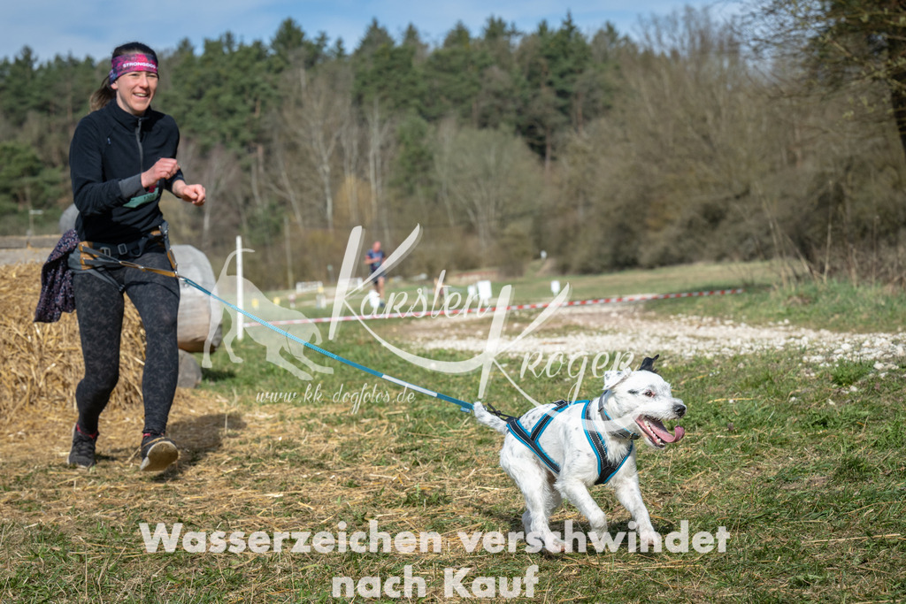 0953_ZZ97042 | kk-dogfotos