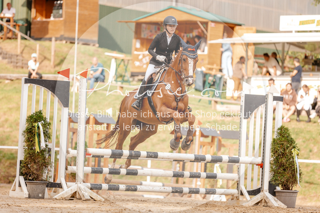 3I6A2734 | Stimmungsvolle Portraits und Reitsportfotografie im Ruhrgebiet und im Münsterland.

Pferdefotografie, Hundefotografie, Tierfotografie, Reportagen, Portraits von Tier und Mensch, Turnierfotografie in Bochum, Recklinghausen, Marl, Haltern am See, Dülmen.. - Realisiert mit Pictrs.com