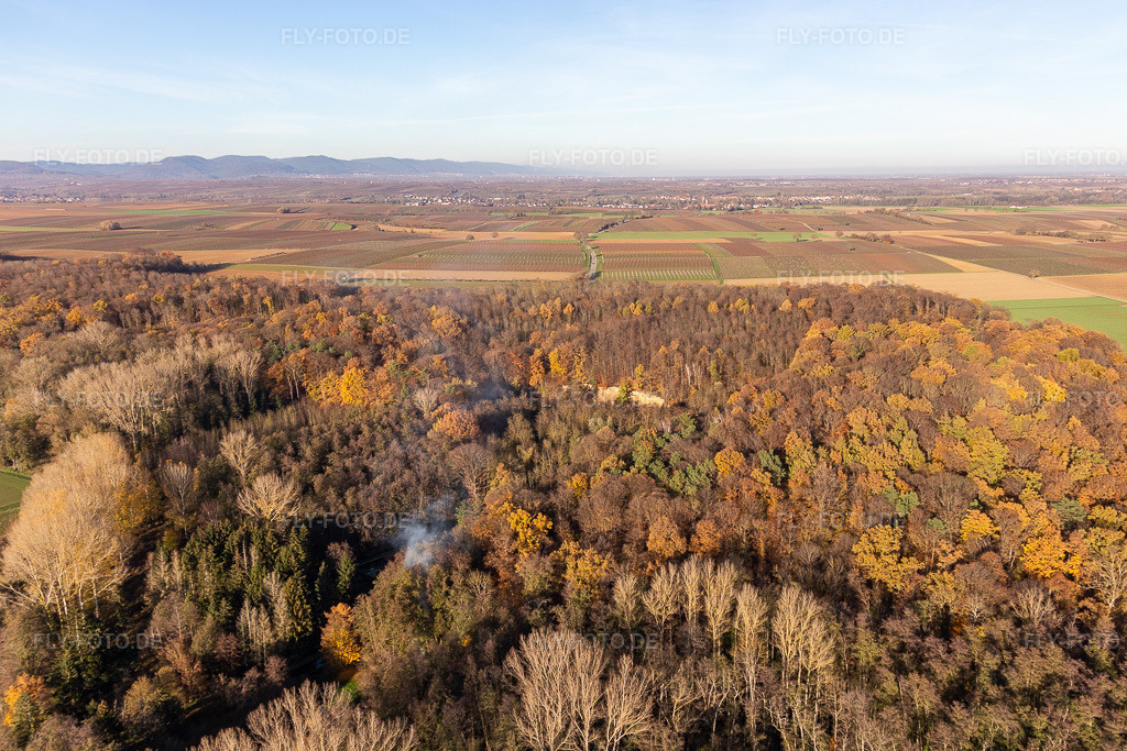 Luftbild: Billigheimer Bruch, Erlenbachtal zwischen Barbelroth, Hergersweiler und Winden im Ortsteil Ingenheim in Billigheim-Ingenheim im Bundesland Rheinland-Pfalz in Deutschland. Foto: IMG_123878.jpg vom 21.11.2020 durch Werner Riehm/FLY-FOTO.de