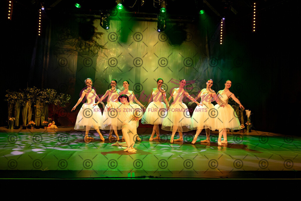 Ballettaufführung-219 | Bildershop Lem'n Entertainment - Realisiert mit Pictrs.com