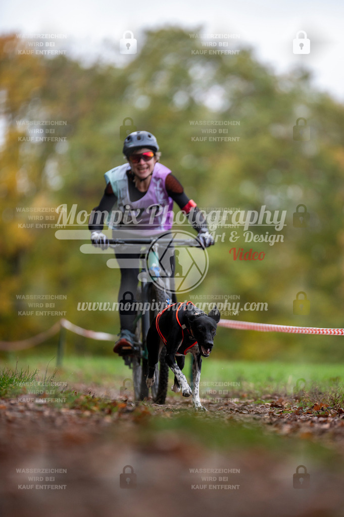 DBT_DAKM_SA_4_11_2023_Bike-27 | PayLife
