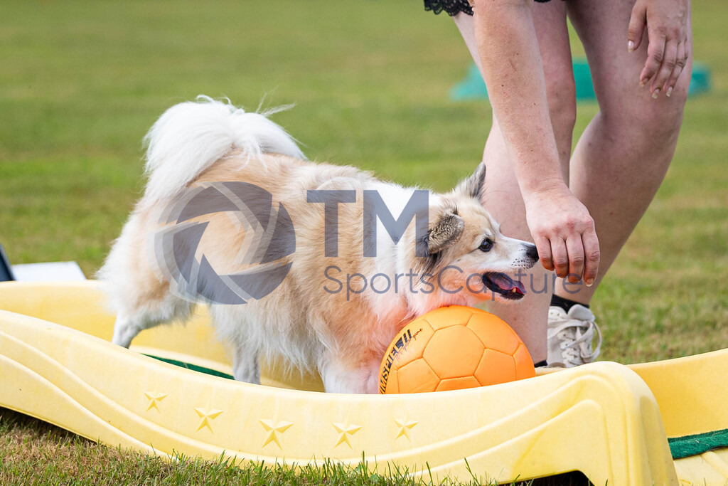 TP-20240815-0015 | Copyright: Trainproduction / Matthias Trinkl