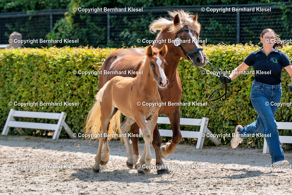 2A909993 | foto-team-bernhard - Realisiert mit Pictrs.com
