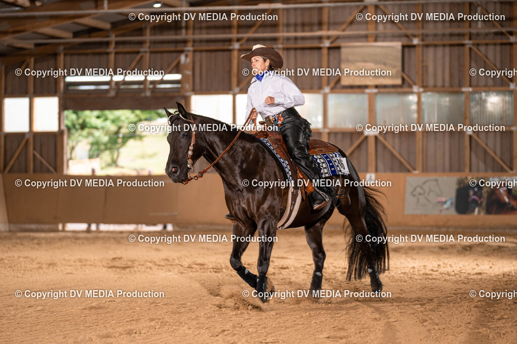 Losheim Tag 1-778 | dv-media-shop - Realisiert mit Pictrs.com