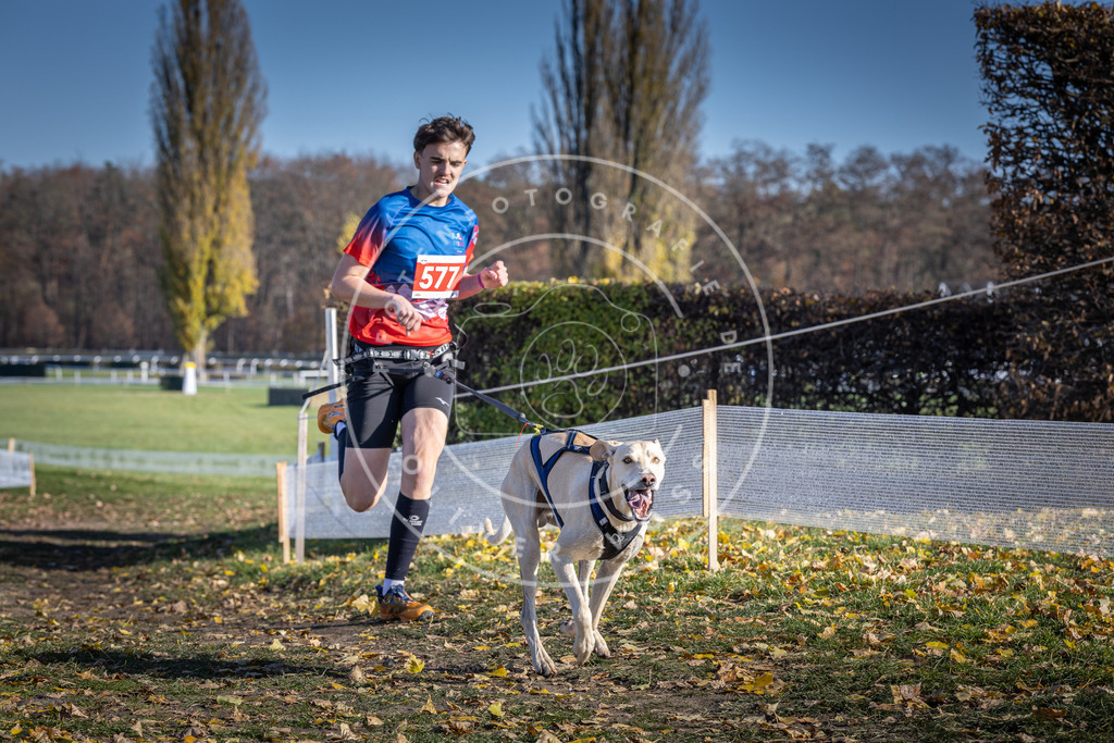 CaniXpix_DV3A8994 | Hundefotografie, Tierfotograf, Pfotenfotografie, Fotoshooting Hund, Hunde Portrait, Hundesport, Hundeportraits, Heideshooting, Hunde, Sportfotograf, Hundefotograf, Turnierhundsport, THS,  - Realisiert mit Pictrs.com