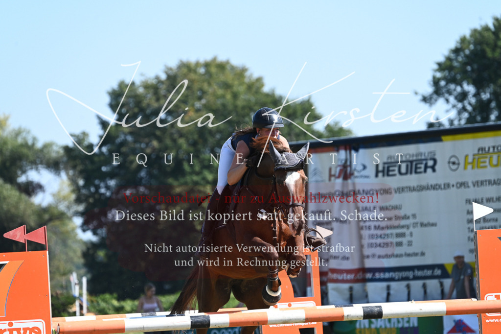 DSC_6460 | Pferde- und Turnierfotografie in Westsachsen. Pferdeportraits, Auftragszeichnungen und intuitive Kunst.