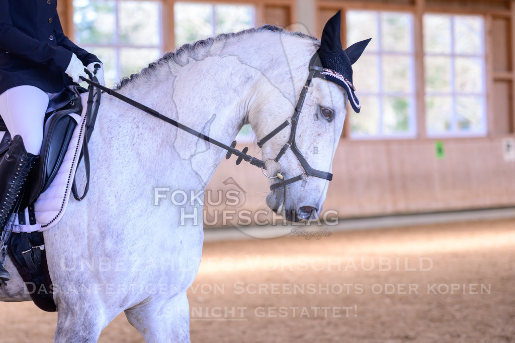 11042026-Mammendorf-Prfg27-0028 | Fokus Hufschlag Fotografie - Realisiert mit Pictrs.com