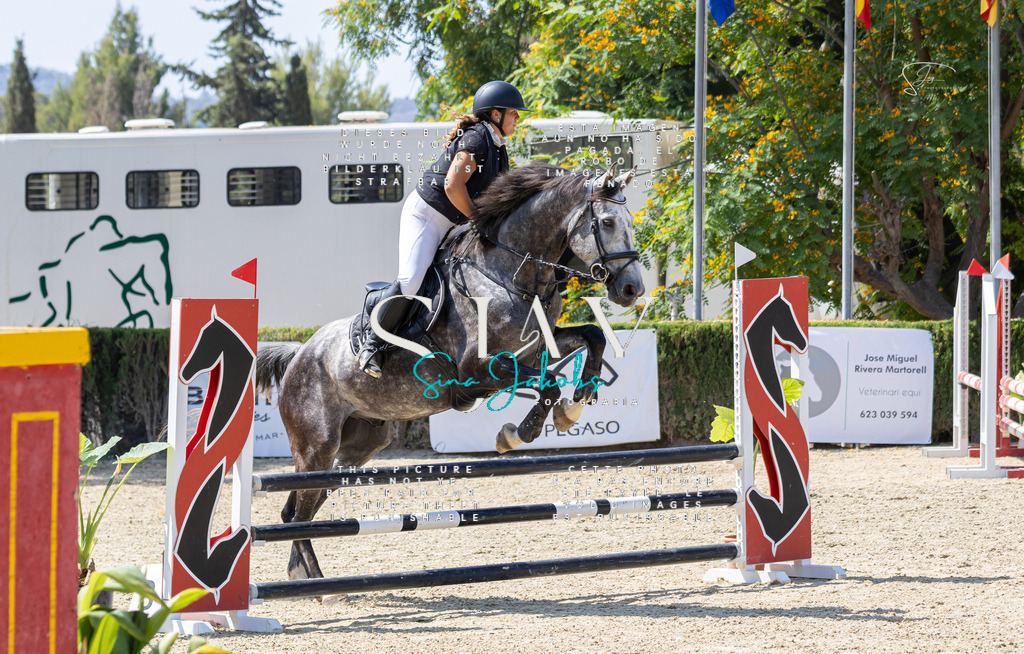 IMG_0138 | s-jay-photography - Realisiert mit Pictrs.com