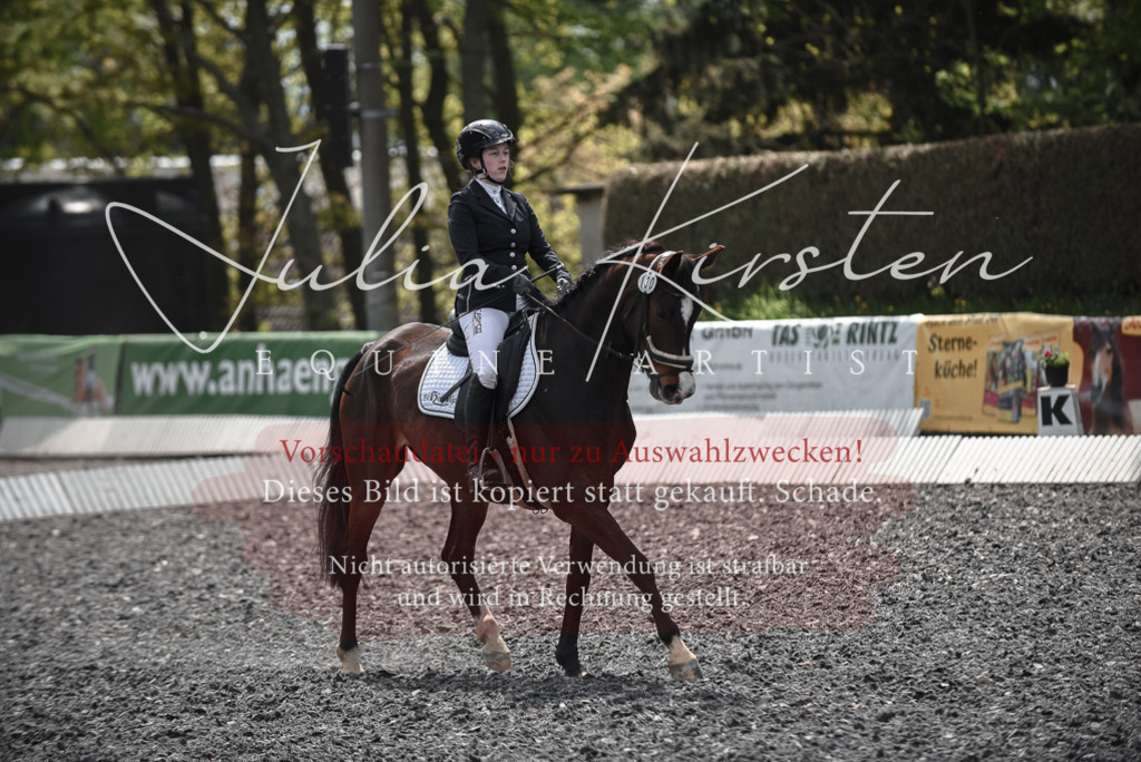 20230513_JK-Röhrsdorf-14-943 | Pferde- und Turnierfotografie in Westsachsen. Pferdeportraits, Auftragszeichnungen und intuitive Kunst.