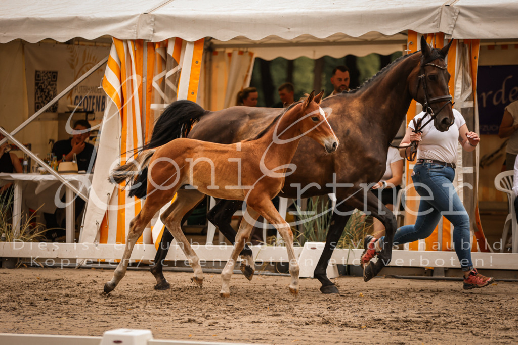 SaPA00239 | Leoni Ertmer Photography - Realisiert mit Pictrs.com