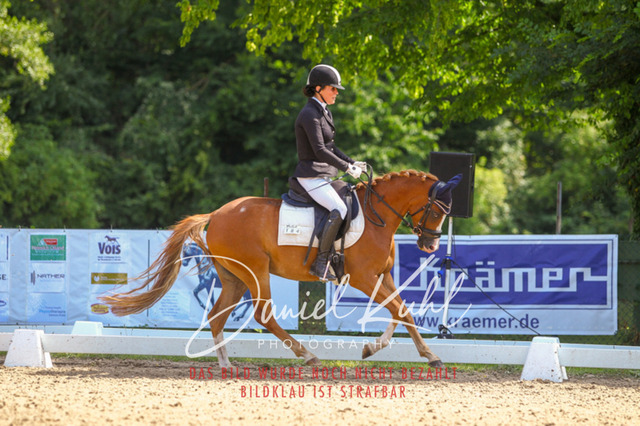 DKP42720 | Turniersportfotografie; Pferdefotografie; Dressurfotografie