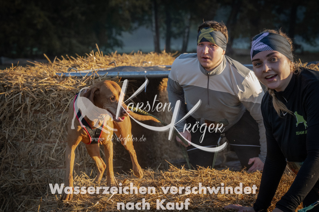 0900_ZZ90547 | kk-dogfotos