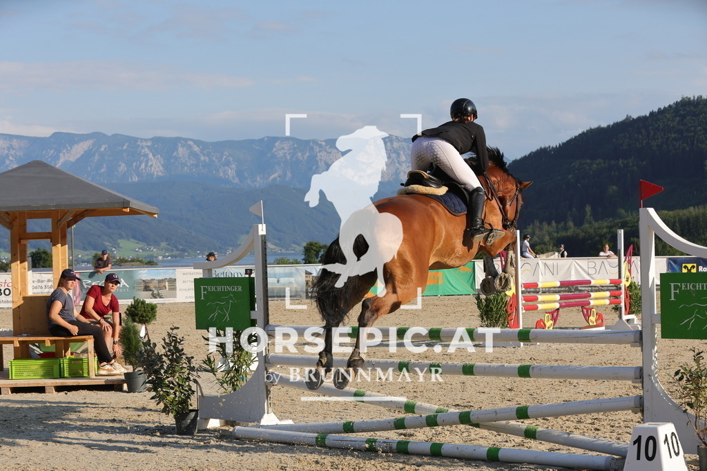 0P6A7061 | Willkommen bei Brunnmayr - Design & Fotografie – Ihrem Spezialisten für Reitturniere und Pferdeveranstaltungen in Oberösterreich, Salzburg und Bayern! Seit über 17 Jahren sind wir leidenschaftlich dabei.