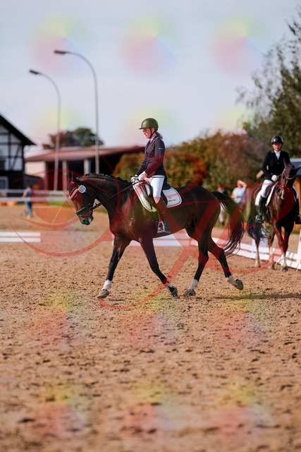 2026_10_03_Siefer-Hof_132603_Z81_78620003 | Professionelle Reitsport-, Turnier- und Eventfotografie von Robert Broda. Galerien mit ausgewählten und bearbeiteten Bildern direkt online ansehen und bestellen.