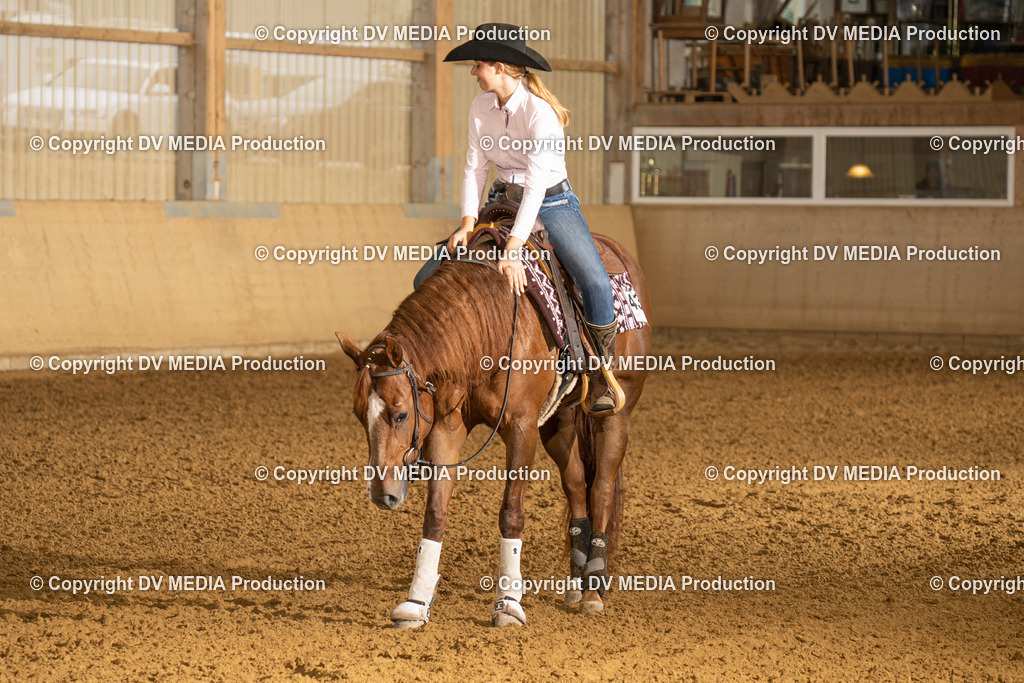 LAU00626 | dv-media-shop - Realisiert mit Pictrs.com