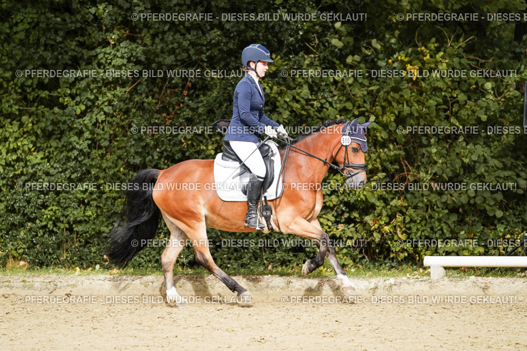 DSC00458 | Pferdegrafie