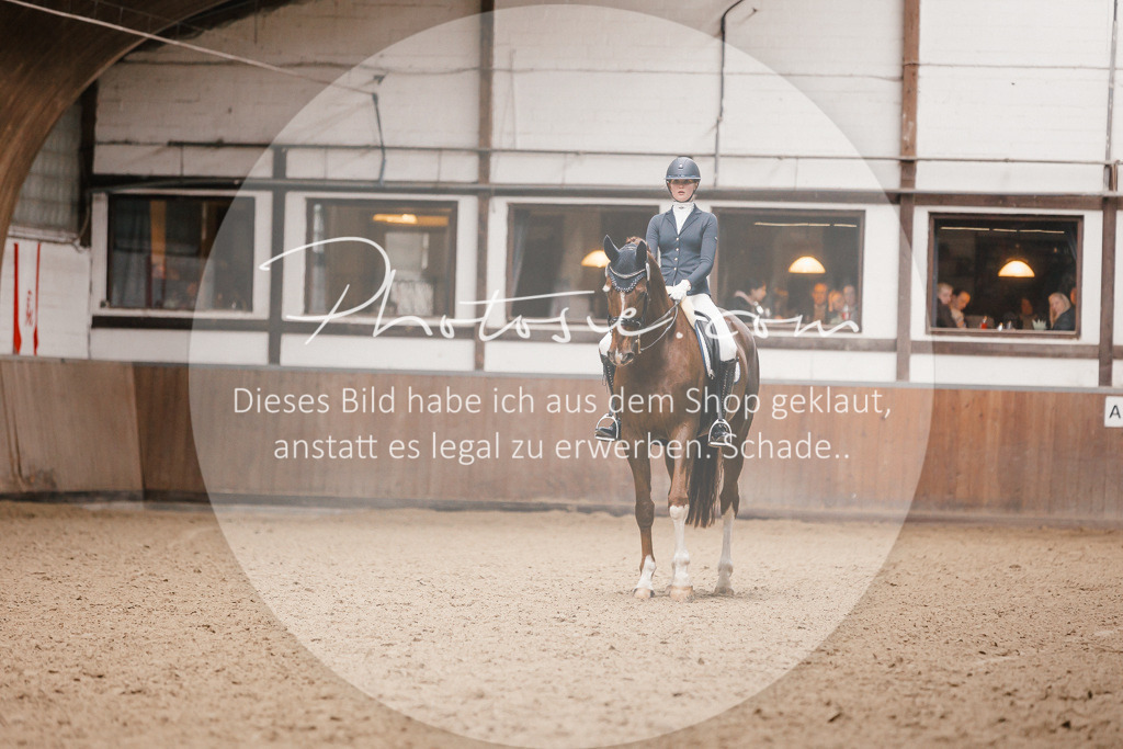 3I6A8515 | Stimmungsvolle Portraits und Reitsportfotografie im Ruhrgebiet und im Münsterland.

Pferdefotografie, Hundefotografie, Tierfotografie, Reportagen, Portraits von Tier und Mensch, Turnierfotografie in Bochum, Recklinghausen, Marl, Haltern am See, Dülmen.. - Realisiert mit Pictrs.com
