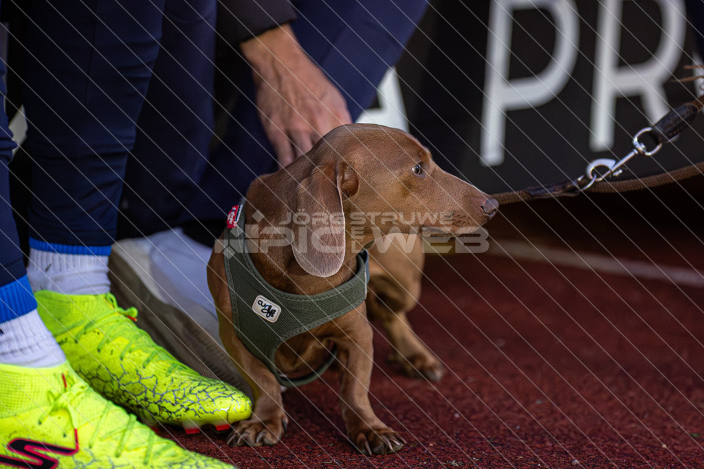 20250927_Picselweb-Fotografie_1R3_0367A | SV DrochtersenAssel - Bremer SV, 2:1 - Realisiert mit Pictrs.com