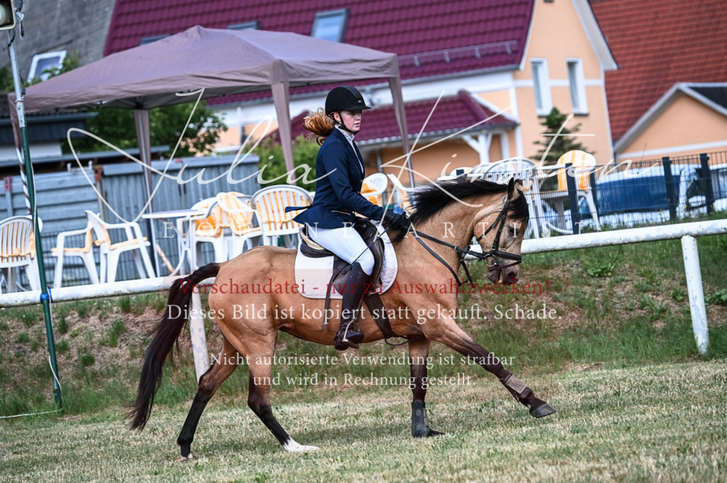 DSC_8026 | Pferde- und Turnierfotografie in Westsachsen. Pferdeportraits, Auftragszeichnungen und intuitive Kunst.