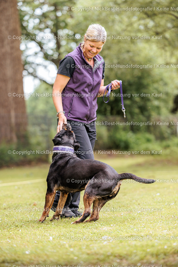 RO-Blumenthal-2026-Nickbest-Hundefotografie-1745 | Dein Hund! Dein Moment! Deine Erinnerungen! Hundefotografie in Bremen Blumenthal. Ich fange die besonderen Momente deines Vierbeiners ein – ob Indoor mit Blitzanlage oder in der freien Natur. Sicher dir dein Moment und dein Termin für eure Erinnerungen.