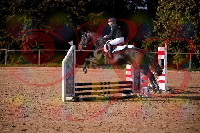 2026_10_03_Siefer-Hof_154857_Z81_67290795 | Professionelle Reitsport-, Turnier- und Eventfotografie von Robert Broda. Galerien mit ausgewählten und bearbeiteten Bildern direkt online ansehen und bestellen.