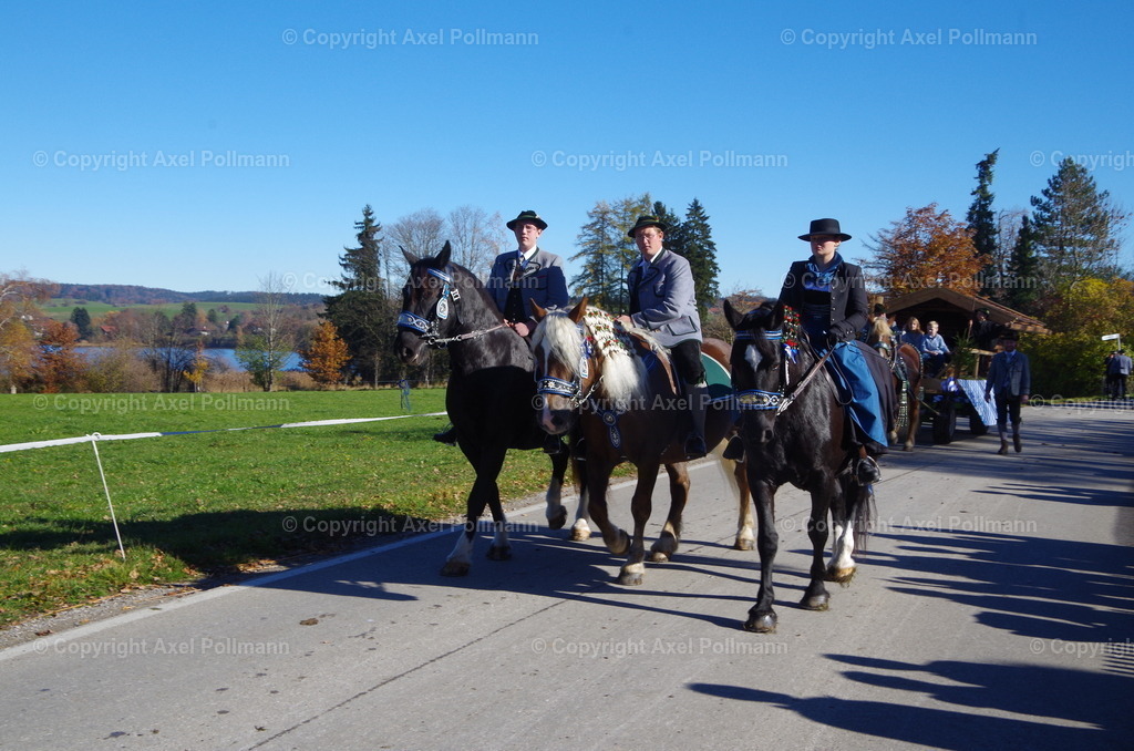 IMGP8058 | fotografiert von Axel PollmannLeonhardi Wallfahrt Benediktbeuern und Murnau, Fronleichnam, Fasching, Landschaft im Loisachtal und Benediktbeuern  - Realisiert mit Pictrs.com