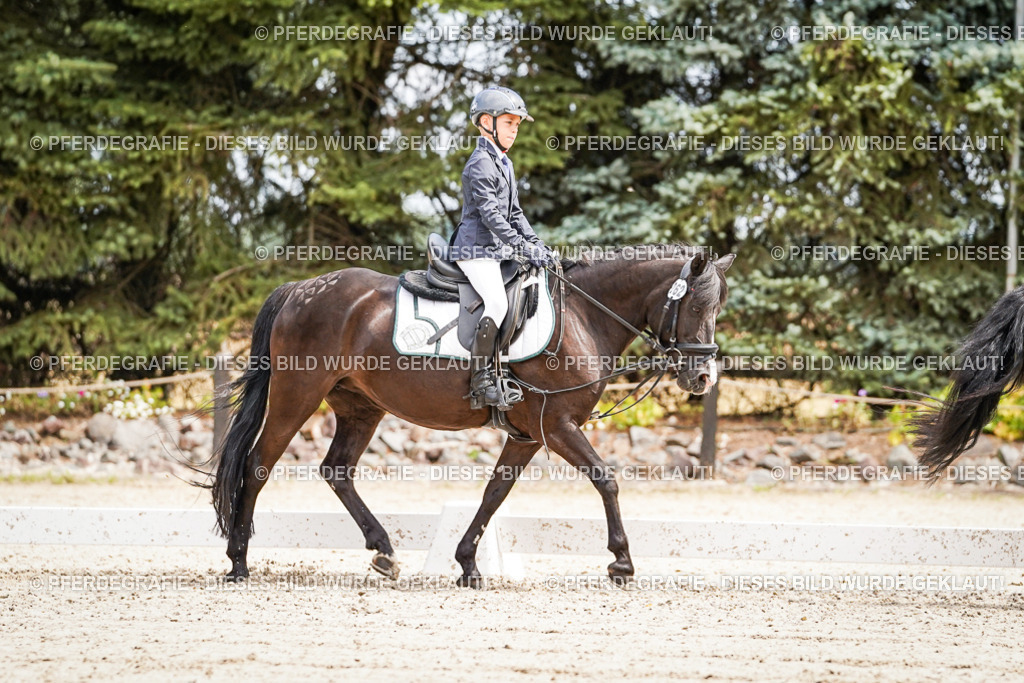 DSC02733 | Pferdegrafie