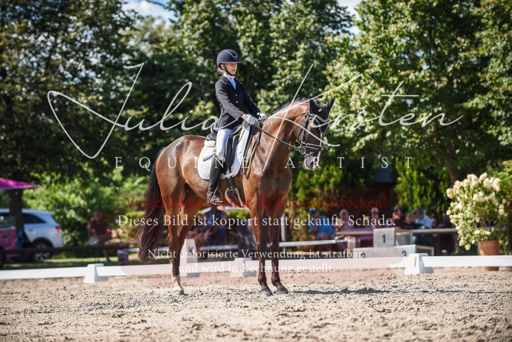 DSC_9586 | Pferde- und Turnierfotografie in Westsachsen. Pferdeportraits, Auftragszeichnungen und intuitive Kunst.