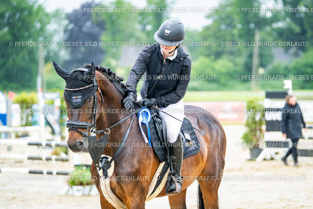 DSC03323 | Pferdegrafie