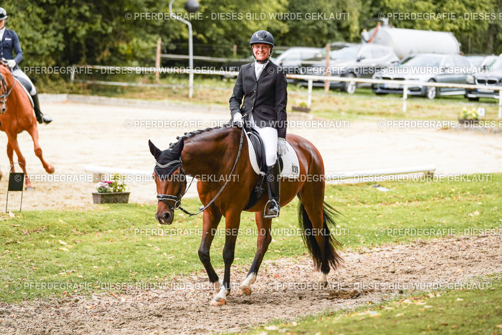 DSC09866 | Pferdegrafie