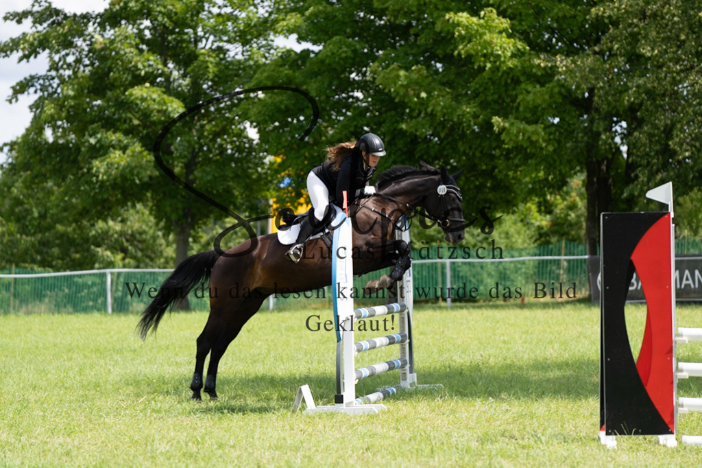 A7V04497 | Pferdefotograf