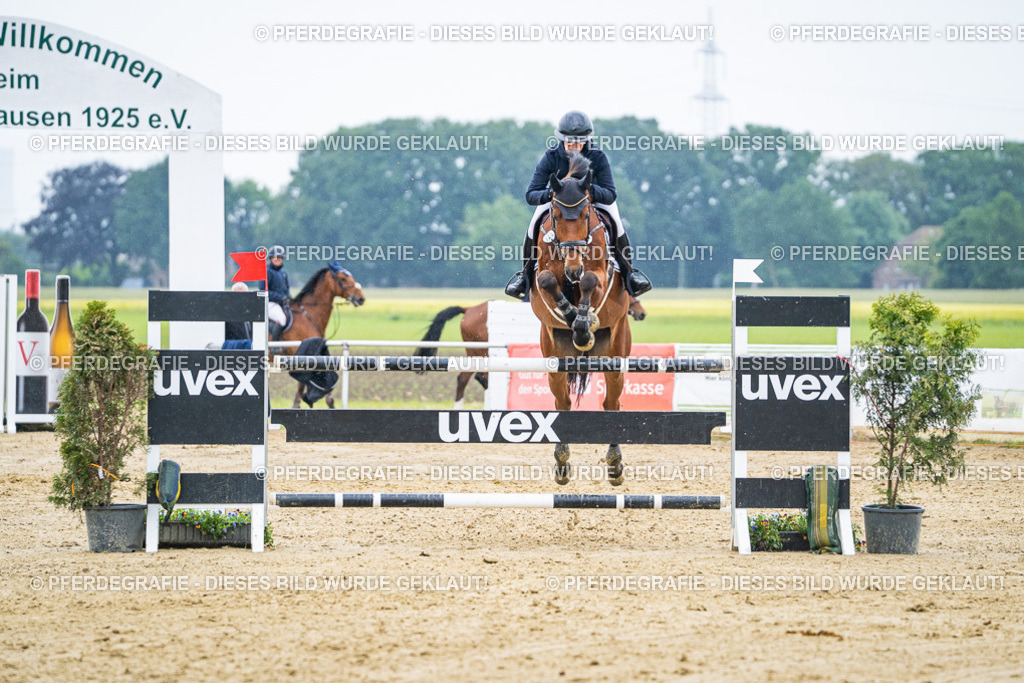 DSC09299 | Pferdegrafie