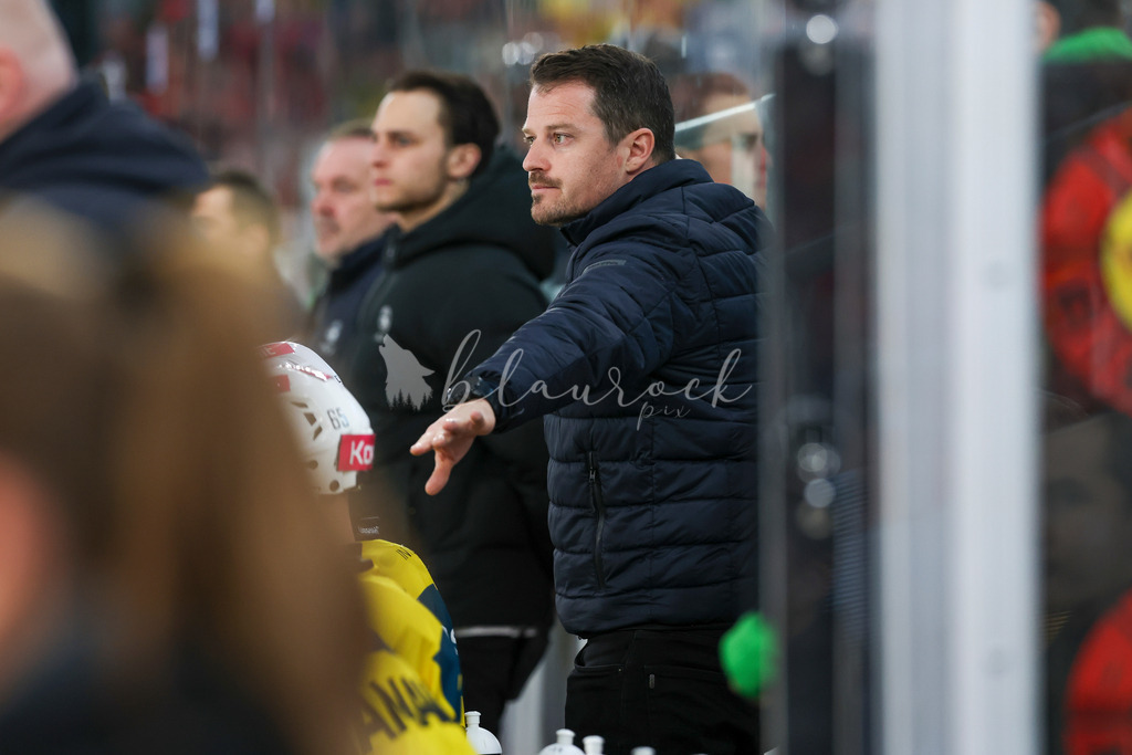 EHCB vs SCB 20260312_wb-4341 | Sportbilder, Sportfotograf, Hochzeits- und Eventfotografin, Flugshows, Portraits und Tiershooting, Aviation, Downhill, Nationalleague, Swissleague, International