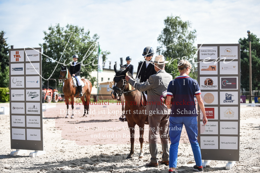 DSC_8731 | Pferde- und Turnierfotografie in Westsachsen. Pferdeportraits, Auftragszeichnungen und intuitive Kunst.