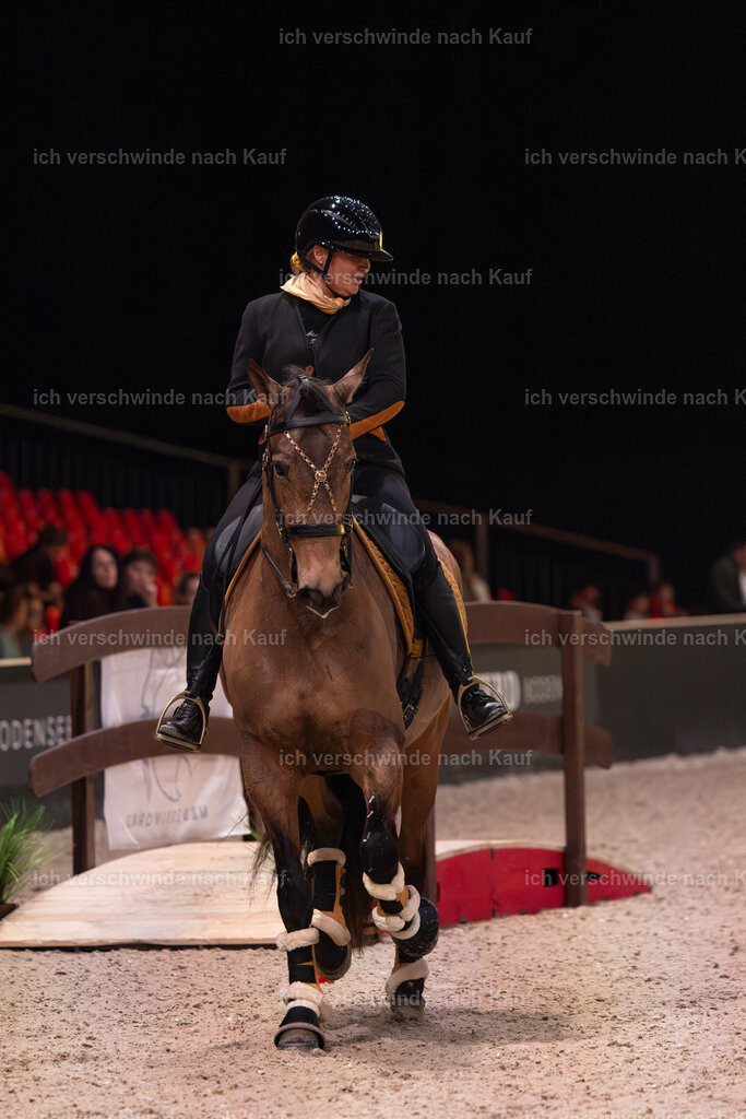 JoseraCup-42 | working equitationturnier fotograf videograf stoibphotography marixx film working equitation deutschland reitsport turnierfotografie eventfotografie equestrian events