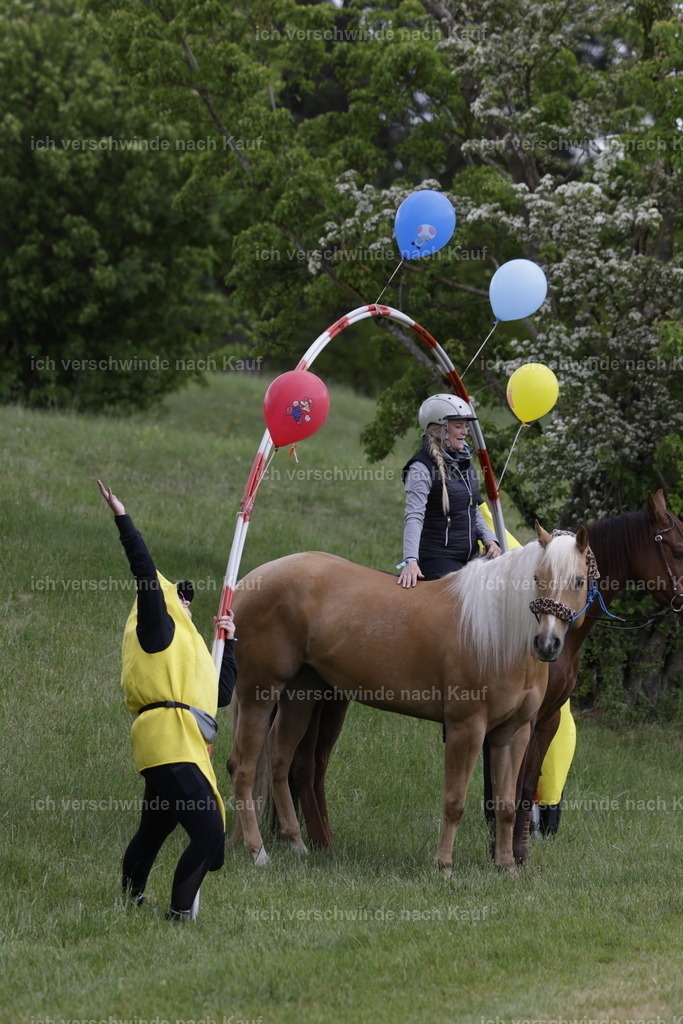 PI26_SHOW_Stoibphotography_AM10513.JPG | working equitationturnier fotograf videograf stoibphotography marixx film working equitation deutschland reitsport turnierfotografie eventfotografie equestrian events