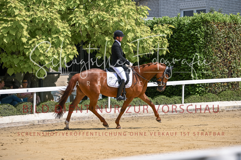 Schugtsche-Aluta25-53.Amat.Dressurprf.A2-19 | Schugtsche Fotografie - Realisiert mit Pictrs.com