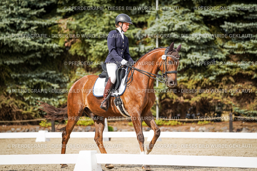 DSC06895 | Pferdegrafie