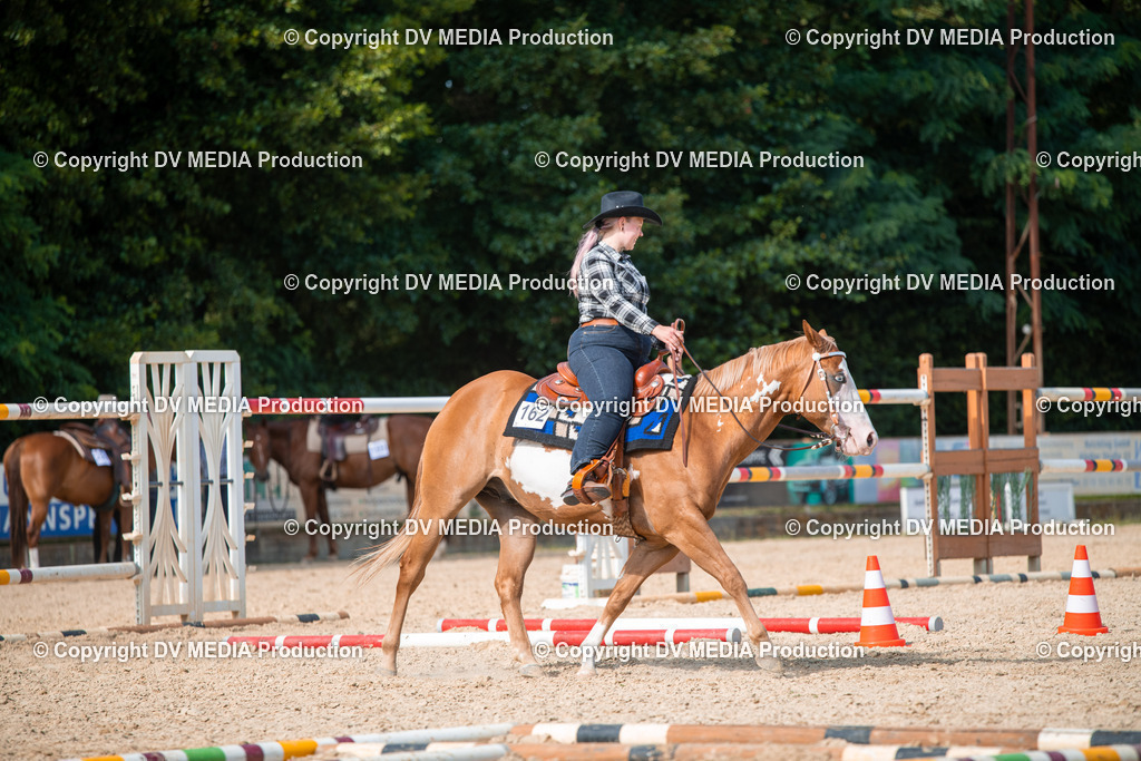 EWP_6912 | dv-media-shop - Realisiert mit Pictrs.com